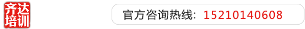 草b网站齐达艺考文化课-艺术生文化课,艺术类文化课,艺考生文化课logo